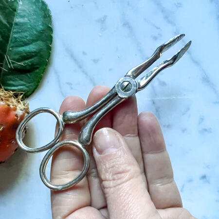 Tongs-"scissors" universal 10 cm silver plated Spain