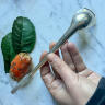 Serving spoon for cocktails and snacks, silver