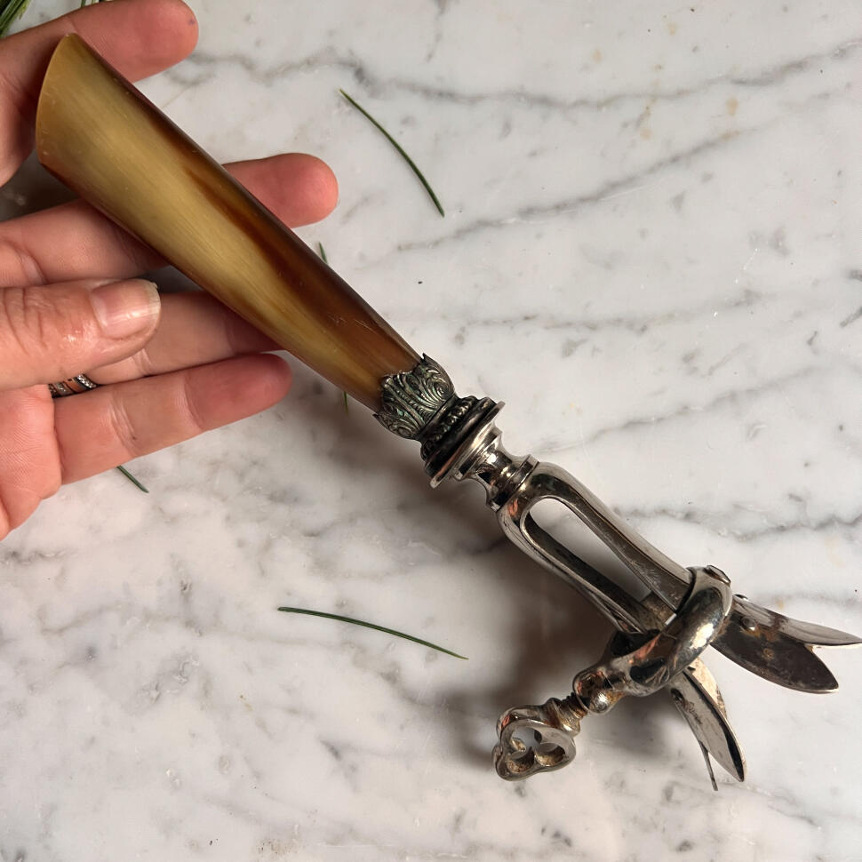 Meat clamp, cow horn and silverplate, France, 1920s, length 22 cm