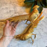 Paired sculptures of pheasants set of 2 pieces gilded bronze 20th century France