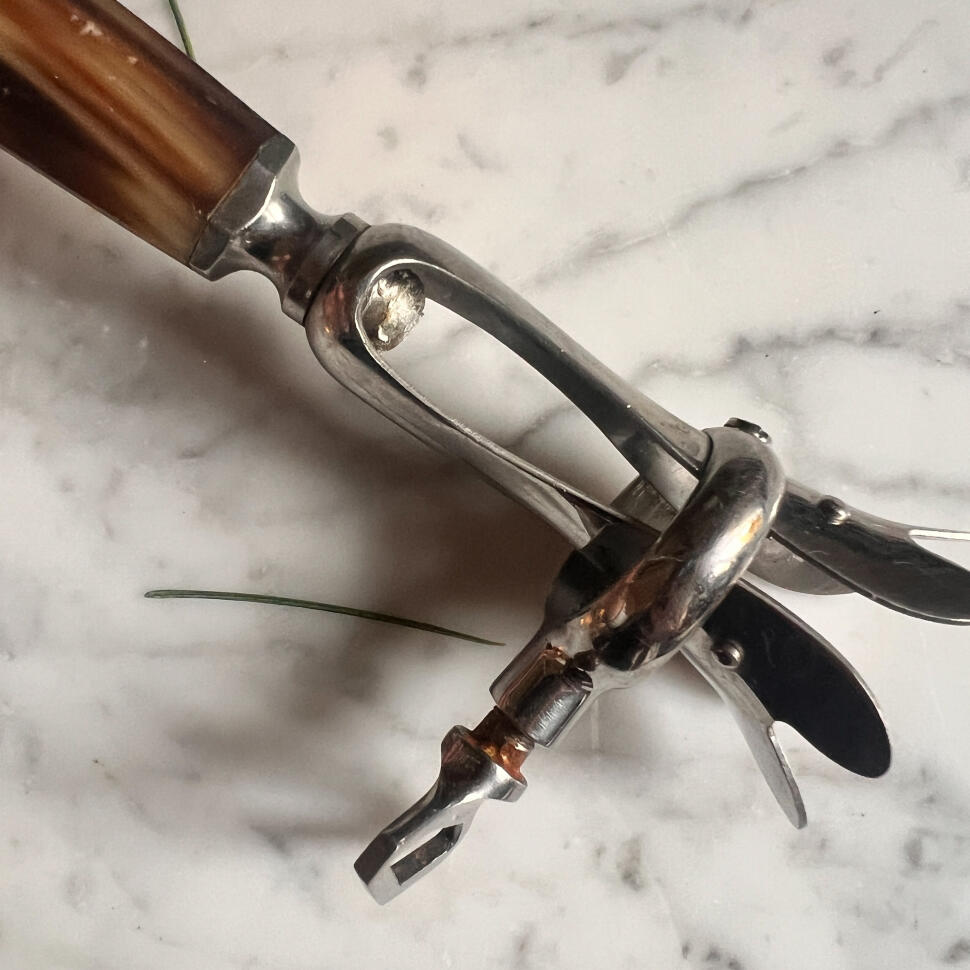 Meat clamp, cow horn and silver-plated, France, 1900s
