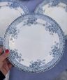 Set of 14 plates 