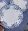 Set of 14 plates 