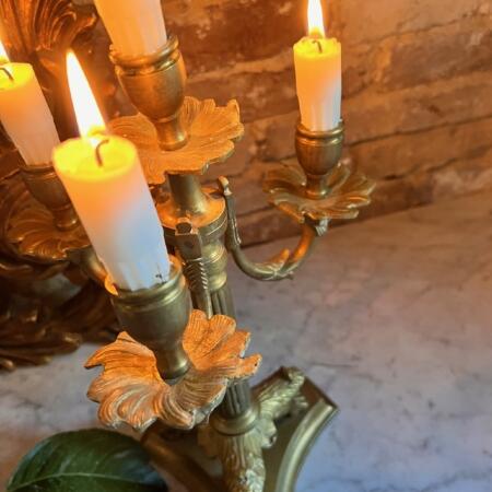 Candelabra candle holder with the image of a lion brass 33cm  Italy