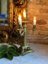 Candelabra candle holder with the image of a lion brass 33cm  Italy