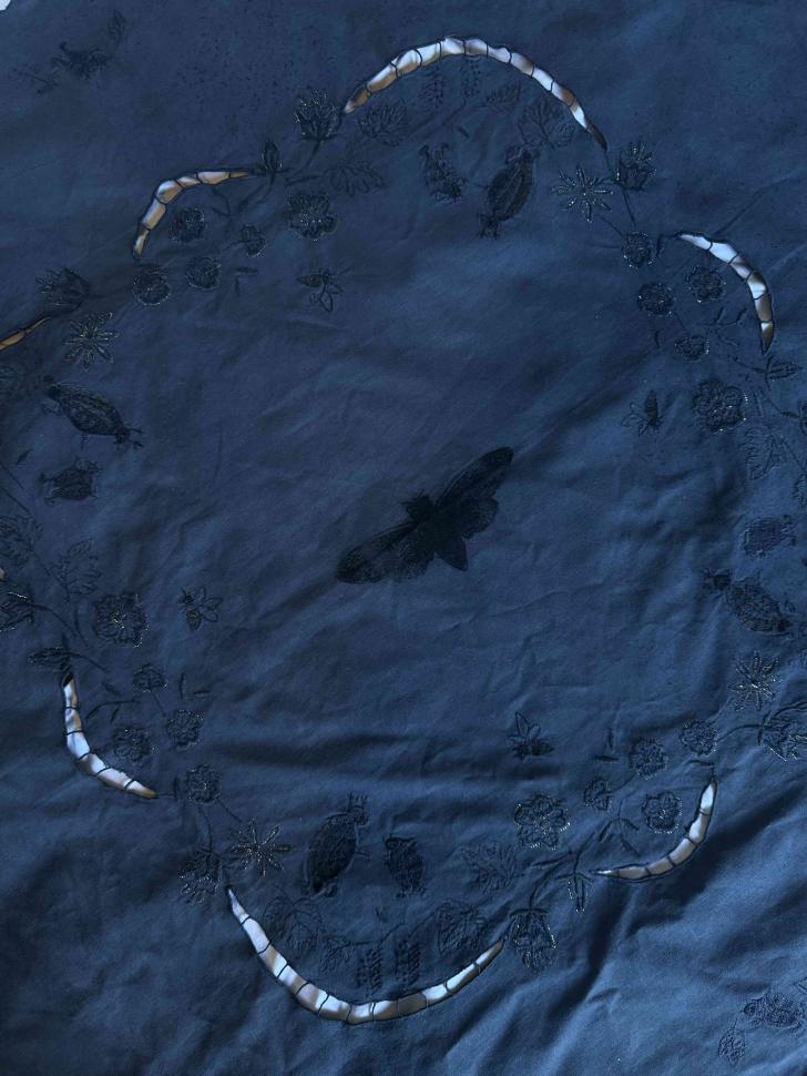 Скатерть с жуками в сумерках